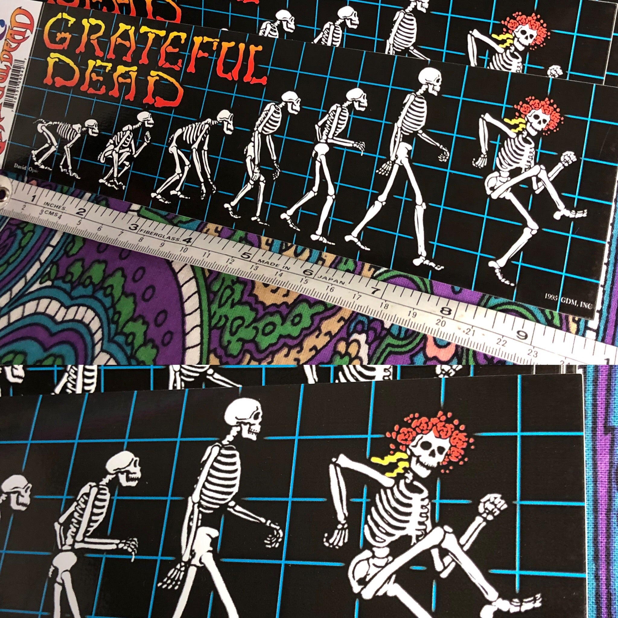 Grateful Dead Evo Mylar Sticker Decal 10"