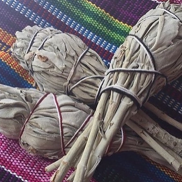 Small White Sage Smudge Stick (3-5" and 3" Diameter) Salvia Apiana